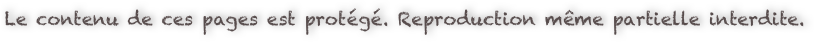 Le contenu de ces pages est protégé. Reproduction même partielle interdite.